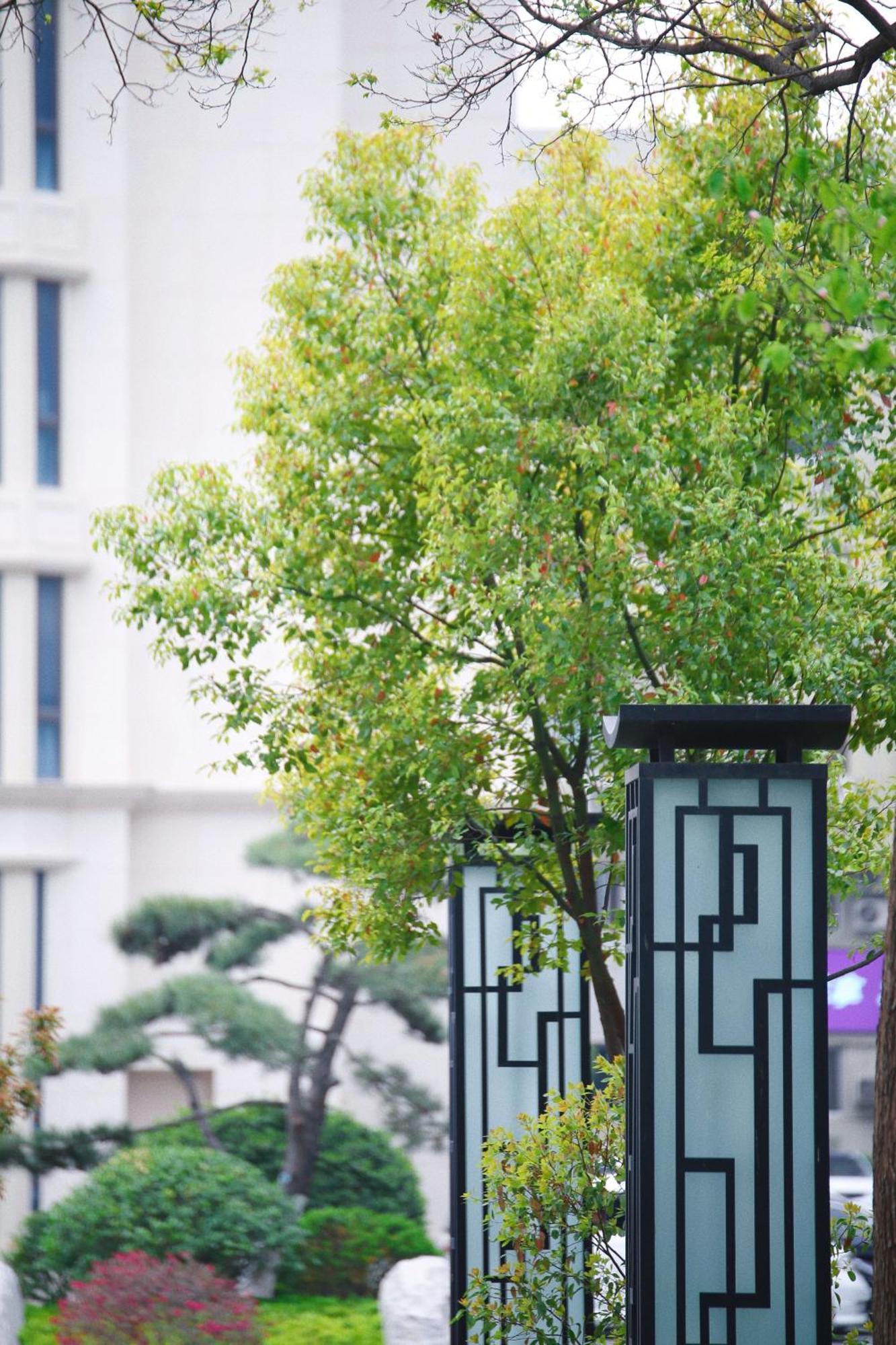Holiday Inn Zhengzhou Zhongzhou By Ihg Zewnętrze zdjęcie